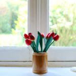 Ablak és tulipán